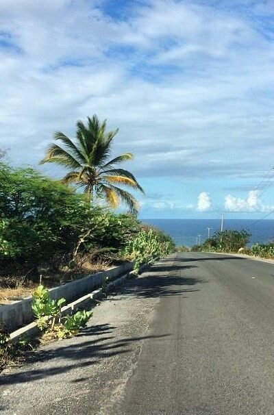 Nevis island tour